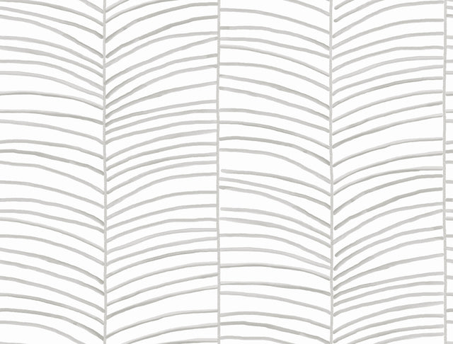 York Wallcoverings PSW1701RL Cascade Palm Grey Chic Tropics 