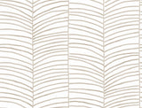 York Wallcoverings PSW1702RL Cascade Palm Taupe Chic Tropics