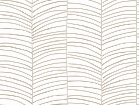 York Wallcoverings PSW1702RL Cascade Palm Taupe Chic Tropics