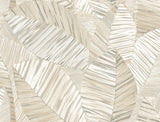 York Wallcoverings PSW1705RL Crown Canopy Neutral Palm Peel 