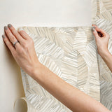 York Wallcoverings PSW1705RL Crown Canopy Neutral Palm Peel 