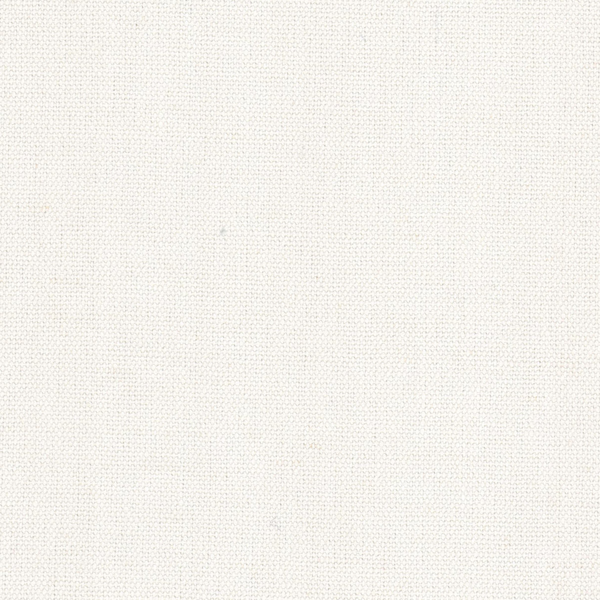 STOUT PUDD-1 PUDDLE 1 BONE Fabric - Eades Wallpaper & Fabric