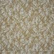 Eade’s # 270 VICUNA