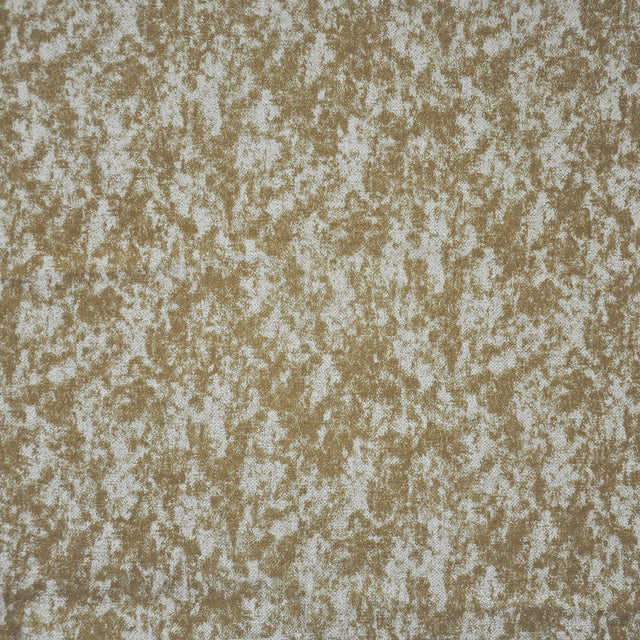 Eade’s # 270 VICUNA