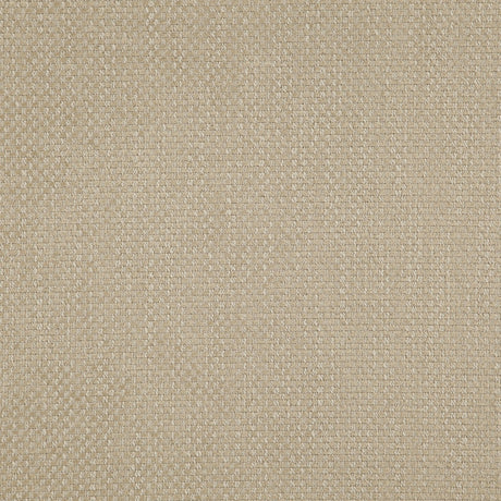 Eade’s # 02 COCOON