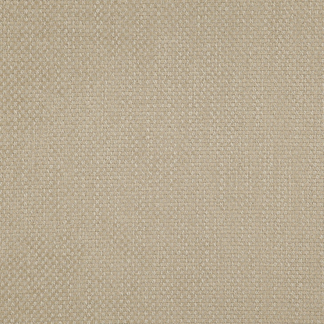 Eade’s # 02 COCOON