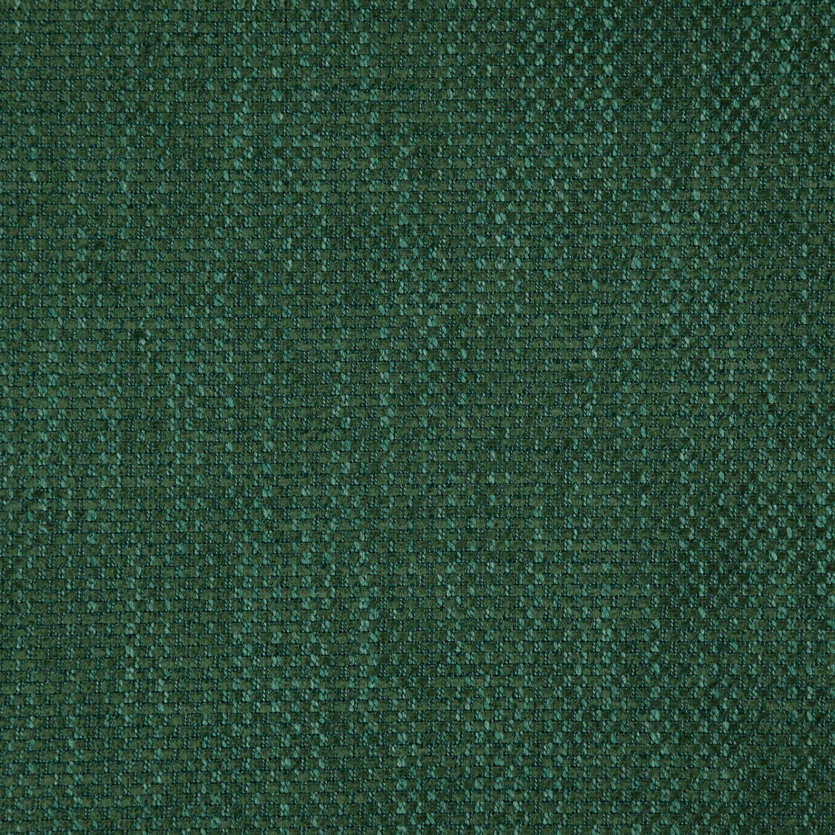 Eade’s # 24 TURTLE