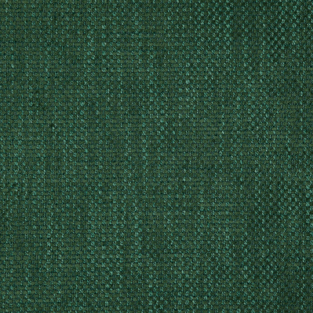 Eade’s # 24 TURTLE