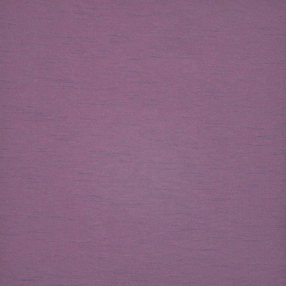 Eade’s # 517 HELIOTROPE