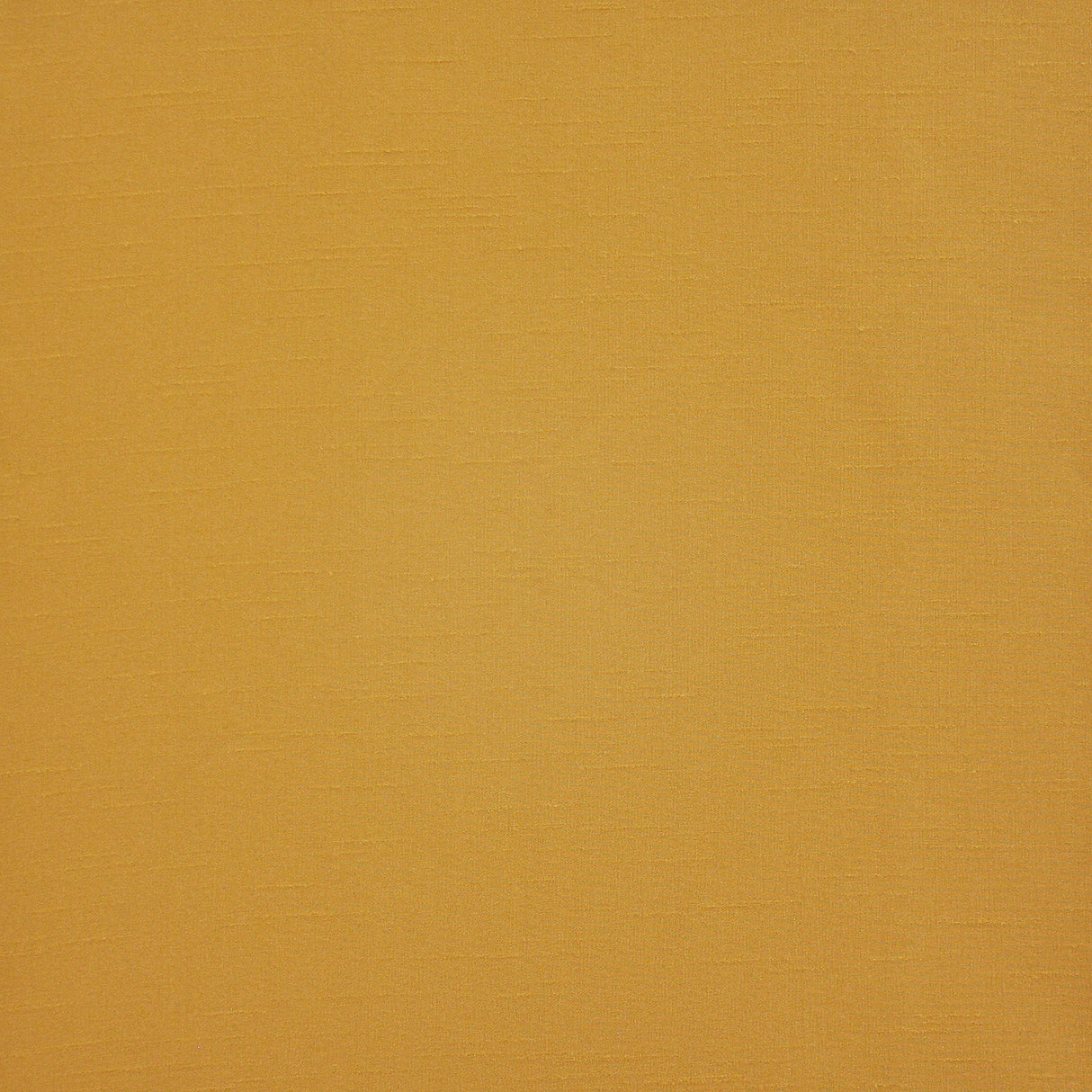 Eade’s # 539 MARIGOLD