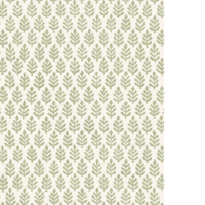 PURE EDIT FOLIA WP PWC100007.30.0 in SAGE Wallpaper - THE PU
