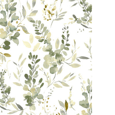 PURE EDIT HARUMI WP PWC100008.340.0 in EUCALYPTUS Wallpaper 