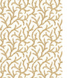 PURE EDIT INAYA WP PWC100010.1216.0 in AMBER Wallpaper - THE