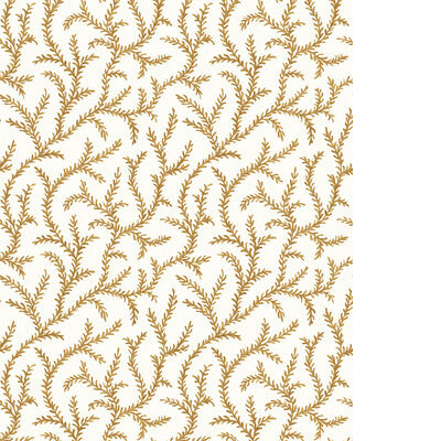 PURE EDIT INAYA WP PWC100010.1216.0 in AMBER Wallpaper - THE