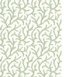PURE EDIT INAYA WP PWC100010.30.0 in SAGE Wallpaper - THE PU