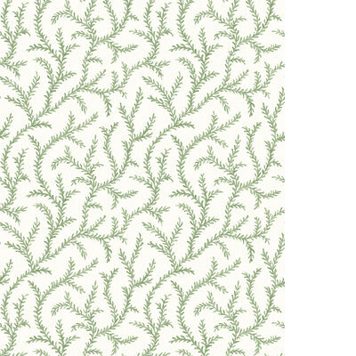PURE EDIT INAYA WP PWC100010.30.0 in SAGE Wallpaper - THE PU