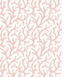 PURE EDIT INAYA WP PWC100010.7.0 in ROSE Wallpaper - THE PUR