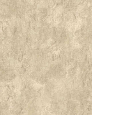 PURE EDIT NAMATHA WP PWC100016.106.0 in STONE Wallpaper - TH
