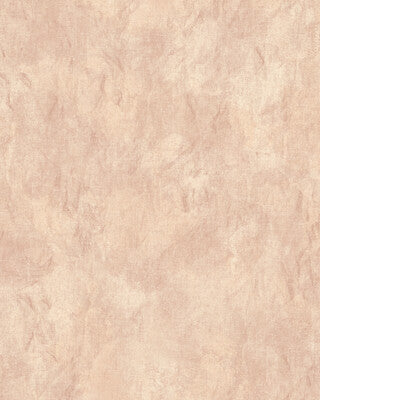 PURE EDIT NAMATHA WP PWC100016.7.0 in ROSE Wallpaper - THE P