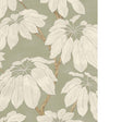 PURE EDIT PONDICHERRY WP PWC100019.30.0 in SAGE Wallpaper - 