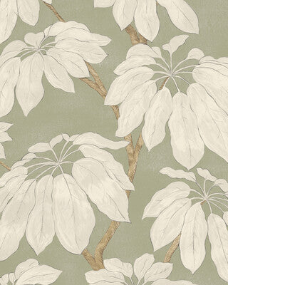 PURE EDIT PONDICHERRY WP PWC100019.30.0 in SAGE Wallpaper - 