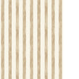 PURE EDIT TASSA PETITE WP PWC100024.106.0 in STONE Wallpaper