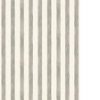 PURE EDIT TASSA PETITE WP PWC100024.11.0 in FOG Wallpaper - 