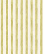PURE EDIT TASSA PETITE WP PWC100024.34.0 in ASPARAGUS Wallpa
