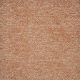 Eade’s # 427 VICUNA