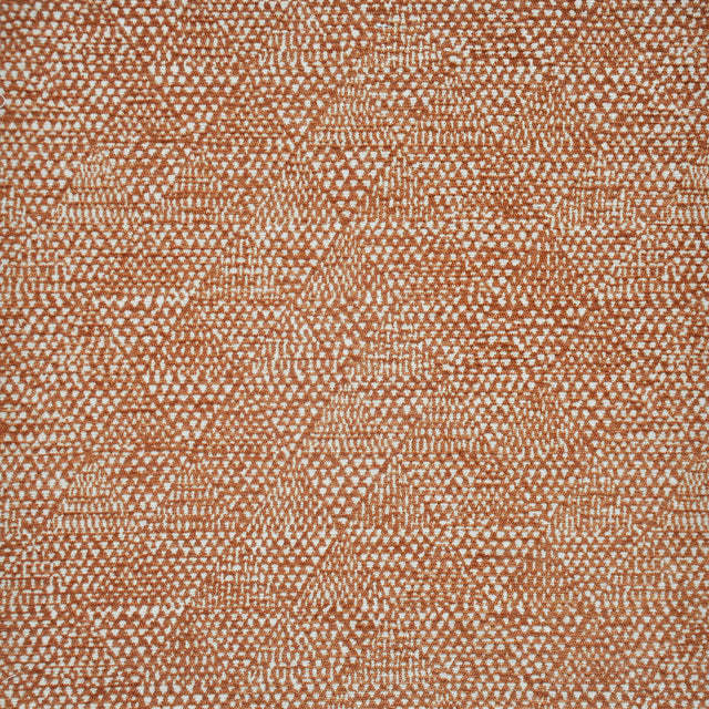 Eade’s # 427 VICUNA