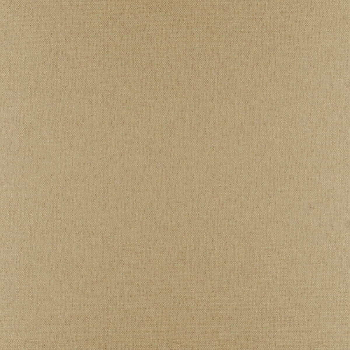 Eade’s # 314 CAMEL