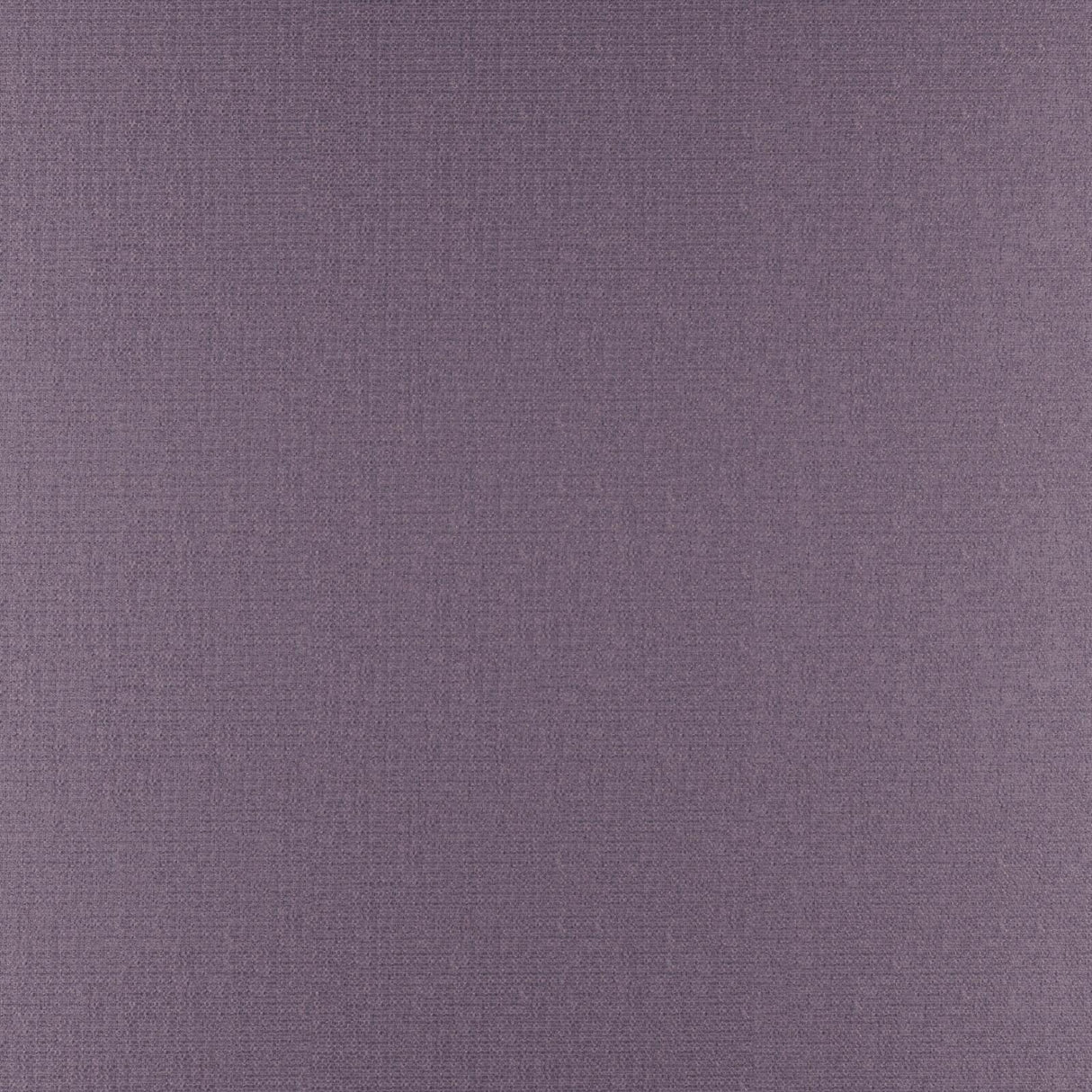 Eade’s # 325 PLUM