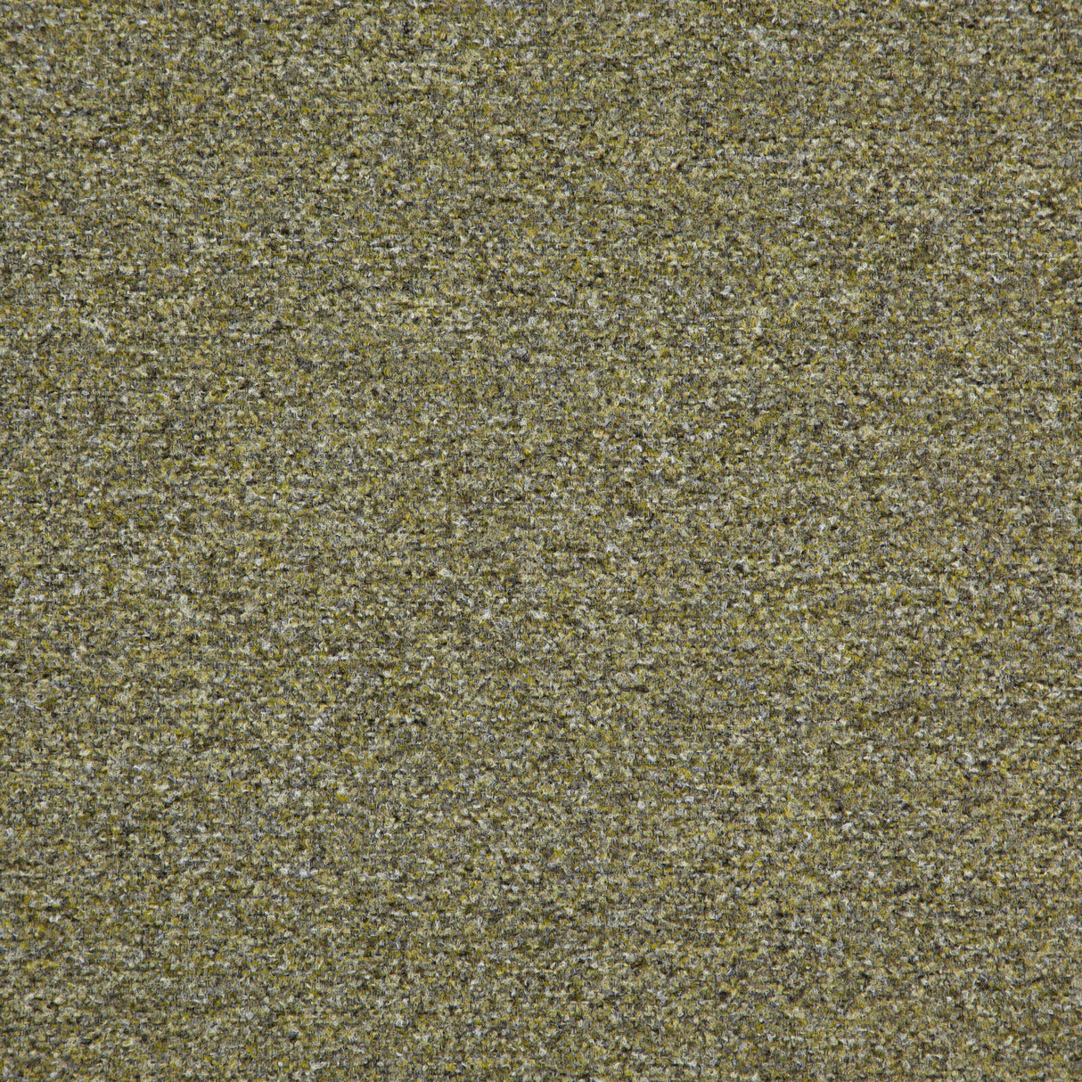 Eade’s # 843 HEDGE
