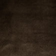 Pindler PAULSON CAFE Q004 Fabric