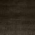 Pindler PAULSON MINK Q004 Fabric