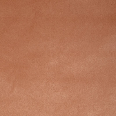 Pindler PAULSON ROSEWATER Q004 Fabric