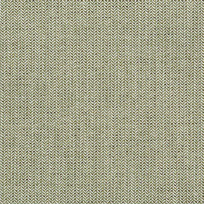 Pindler CLAPTON MOSS Q026 Fabric