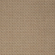 Pindler DEREK BIRCH Q031 Fabric