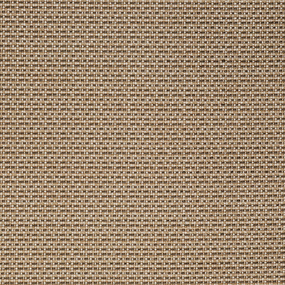 Pindler DEREK BIRCH Q031 Fabric