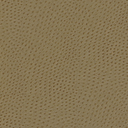 Eade’s # 875 AKHAL