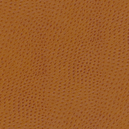 Eade’s # 895 SQUASH