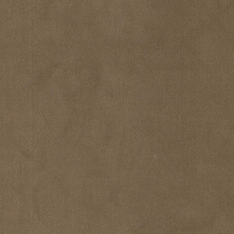 Eade's QUEE-1-sample LION