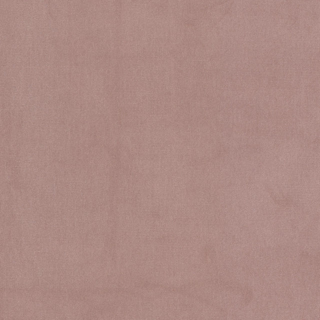 Eade's QUEE-16-sample CAMELIA