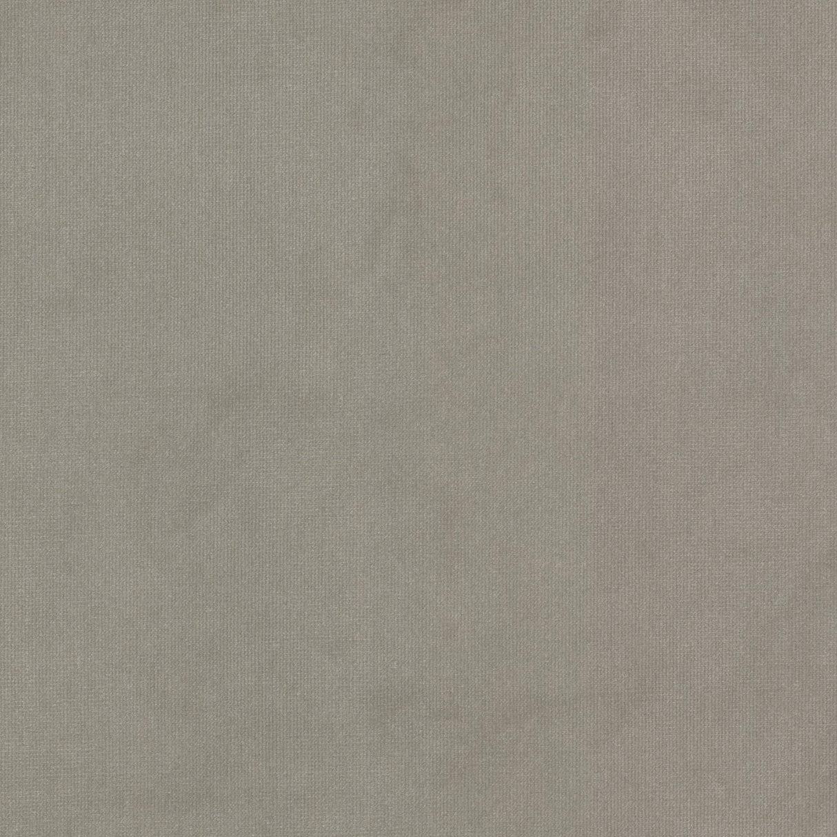 Eade's QUEE-24-sample MUSHROOM