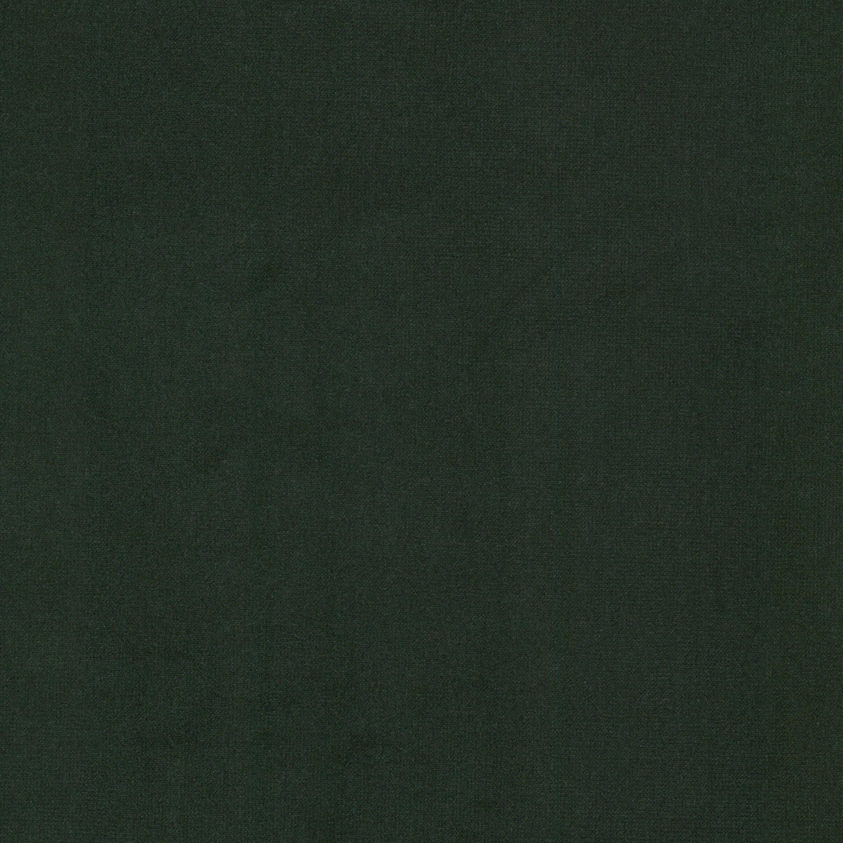 Eade's QUEE-8-sample HUNTER