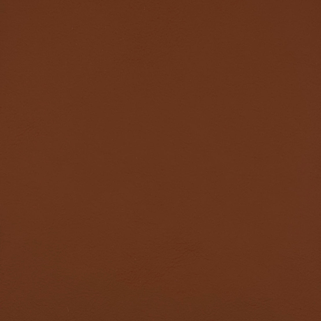 Eade’s QUEST CINNAMON CINNAMON