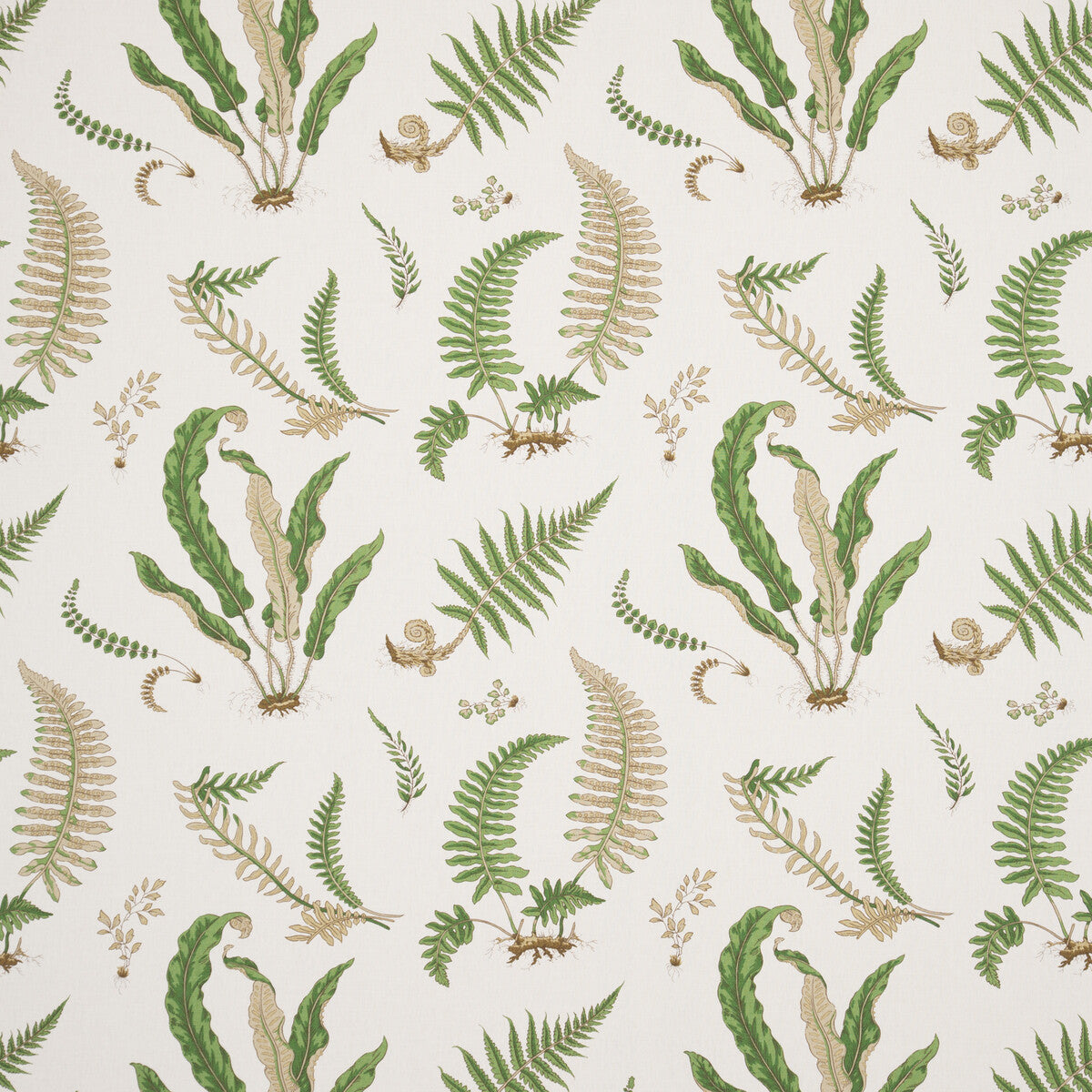 G P & J BAKER R1324.1.0 FERNS - LINEN STONE/GREEN Fabric - Eade's Wallpaper