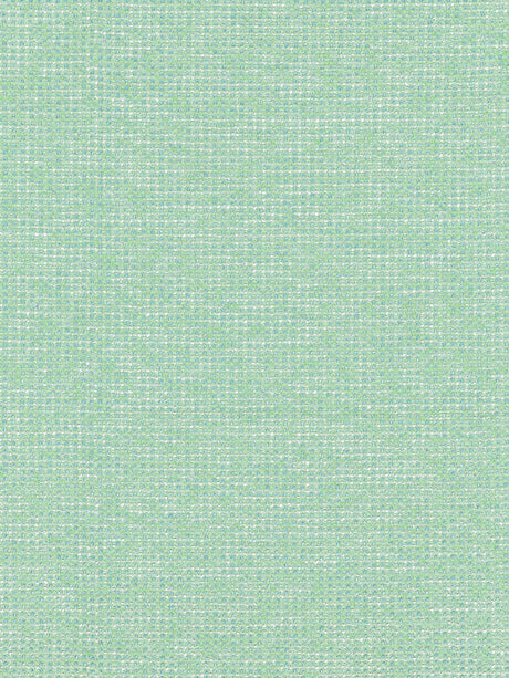Scalamandre R7 00020588 SURF TORRS Fabric - Eade's Wallpaper