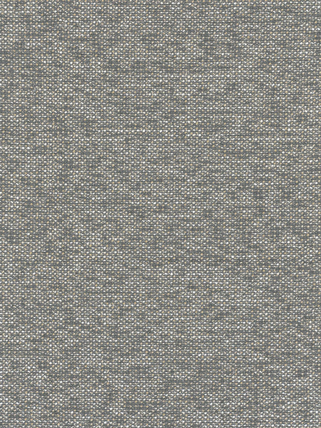 Scalamandre R7 00060588 WHALE TORRS Fabric - Eade's Wallpaper