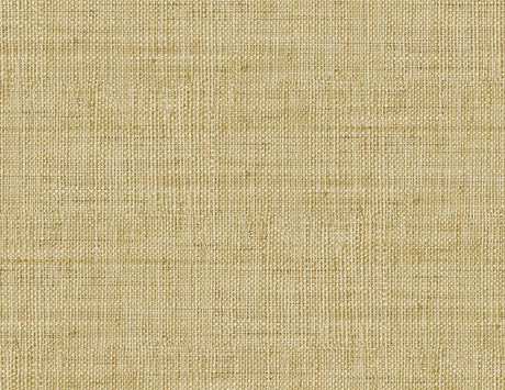 Seabrook Designs RA40314 Wild Bind Wallpaper
